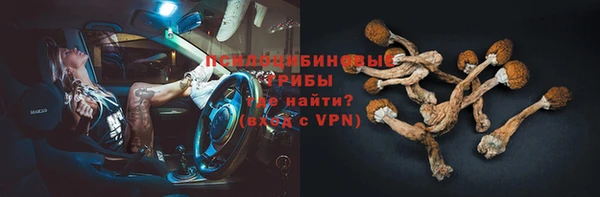 прущие грибы Березники