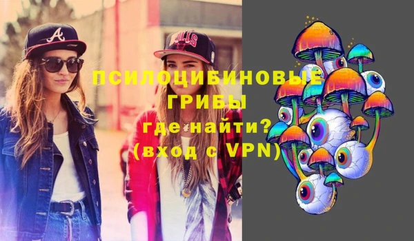 мет Инта