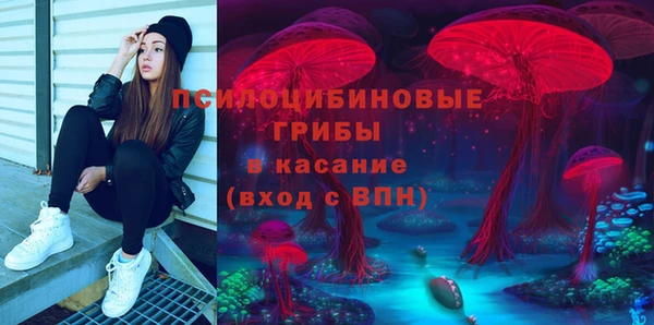 шишки Михайловка