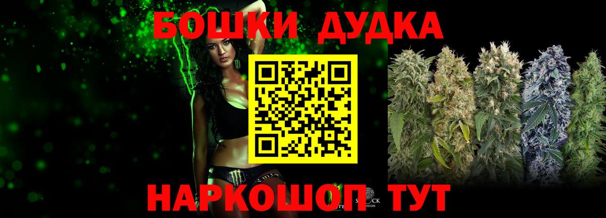 Бошки Шишки план Отрадный